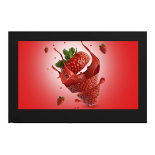 Vormatic 65" LCD Display настенный уличный