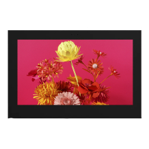 Vormatic 75" LCD Display настенный уличный