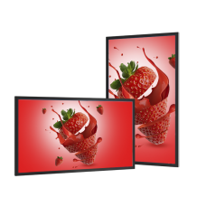 Vormatic 49" LCD Ultra Slim Display настенный уличный