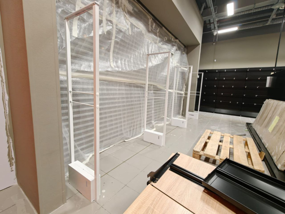 Магазин DNS, г. Москва, ТЦ Домодедовский - проход 450 см4